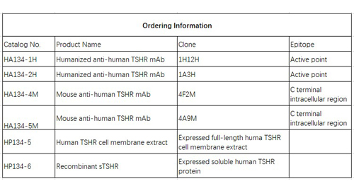 Анти-человеческий TSHR mAb