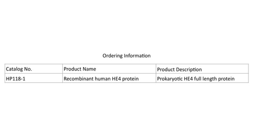 Рекомбинантный человеческий HE4 белок