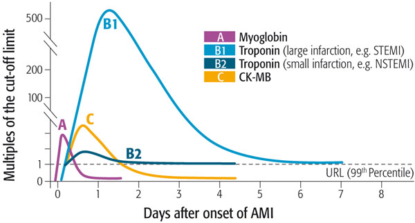 Myo-самый ранний аномально повышенный маркер сердечного белка после травм миокарда